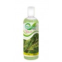 SHAMPOO M. ARBOL DEL TE VITAHAIR BOT. 500ml