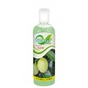 SHAMPOO M. KARITE VITAHAIR BOT. 500ml