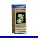 EXTCTO. BOLDOFILINA CJA/FCO. 60ml