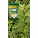 PVO. CONTRAYERBA Raíz BSA. 60g