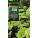 PVO. HOJA SANTA Hoja C/T BSA. 60g