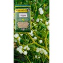 PVO. SECAPALO Hoja C/T BSA. 60g