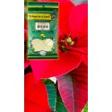 PVO. NOCHEBUENA Flor C/H BSA. 60g