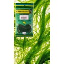 PVO. SPIRULINA Cianobacterias BSA. 60g