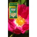 PVO. ROSA DE CASTILLA PAIS Flor BSA. 60g