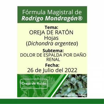 Fórmula del día 26 de Julio del 2022 OREJA DE RATÓN / DOLOR DE ESPALDA POR DAÑO RENAL