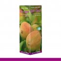 CREMA M. CRECICEN®CJA/TUBO 200g