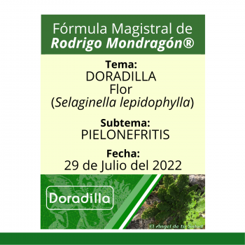 Fórmula del día 29 de Julio del 2022 DORADILLA / PIELONEFRITIS
