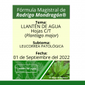 Fórmula del día 01 de Septiembre del 2022 LLANTÉN DE AGUA / LEUCORREA PATOLÓGICA