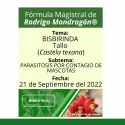 Fórmula del día 21 de Septiembre del 2022 BISBIRINDA / PARASITOSIS POR CONTAGIO DE MASCOTAS