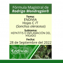 Fórmula del día 28 de Septiembre del 2022 ENDIVIA / HEPATITIS O INFLAMACIÓN DEL HÍGADO