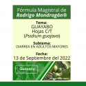 Fórmula del día 13 de Octubre del 2022 GUAYABO / DIARREA EN ADULTOS MAYORES