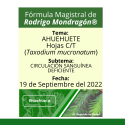 Fórmula del día 19 de Octubre del 2022 AHUEHUETE / CIRCULACIÓN SANGUÍNEA DEFICIENTE