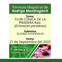 Fórmula del día 21 de Octubre del 2022 FLOR CÓNICA DE LA PRADERA / ÚLCERAS DUODENALES