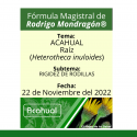 Fórmula del día 22 de Noviembre del 2022 ACAHUAL / RIGIDEZ DE RODILLAS