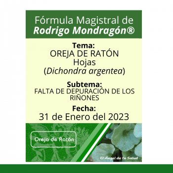 Fórmula del día 31 de Enero del 2023 OREJA DE RATÓN / FALTA DE DEPURACIÓN DE LOS RIÑONES