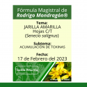 Fórmula del día 17 de Febrero del 2023 JARILLA AMARILLA / ACUMULACIÓN DE TOXINAS