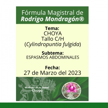 Fórmula del día 27 de Marzo del 2023 CHOYA