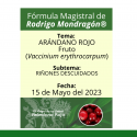 Fórmula del día 15 de Mayo del 2023 ARÁNDANO ROJO / RIÑONES DESCUIDADOS