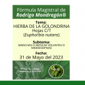 Fórmula del día 31 de Mayo del 2023 HIERBA DE LA GOLONDRINA/MANCHAS O MOSCAS VOLANTES O MIODESOPSIAS