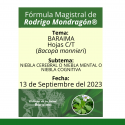 Fórmula del día 13 de Septiembre del 2023 BARAIMA / NIEBLA CEREBRAL O NIEBLA MENTAL O NIEBLA COGNITIVA