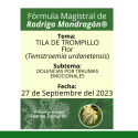 Fórmula del día 27 de Septiembre del 2023 TILA DE TROMPILLO / DOLENCIAS POR TRAUMAS EMOCIONALES