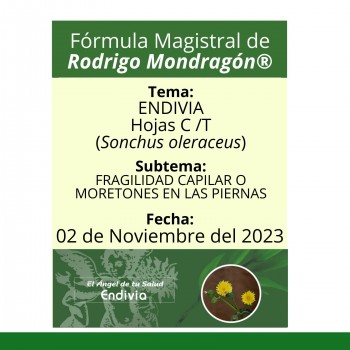 Fórmula del día 02 de Noviembre del 2023 ENDIVIA / FRAGILIDAD CAPILAR O MORETONES EN LAS PIERNAS