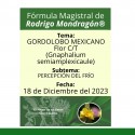 Fórmula del día 18 de Diciembre del 2023 GORDOLOBO MEXICANO / PERCEPCIÓN DEL FRÍO