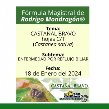 Fórmula del día 18 de Enero del 2024 CASTAÑAL BRAVO / ENFERMEDAD POR REFLUJO BILIAR