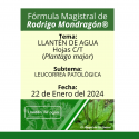 Fórmula del día 22 de Enero del 2024 LLANTÉN DE AGUA / LEUCORREA PATOLÓGICA