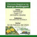 Fórmula del día 02 de Febrero del 2024 GRINDELIA / INFLAMACIÓN SISTÉMICA