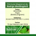 Fórmula del día 19 de Febrero del 2024 BOLDINA / REUMATISMO POR FRÍO Y LLUVIAS