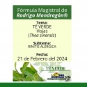 Fórmula del día 21 de Febrero del 2024 TÉ VERDE / RINITIS ALÉRGICA