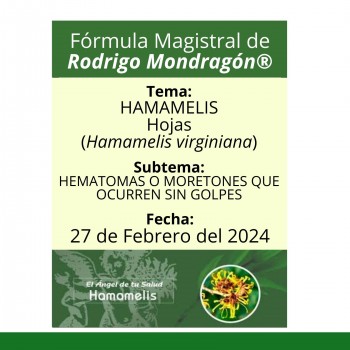 Fórmula del día 27 de Febrero del 2024 HAMAMELIS / HEMATOMAS O MORETONES QUE OCURREN SIN GOLPES
