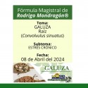Fórmula del día 08 de Abril del 2024 GALUZA / ESTRÉS CRÓNICO
