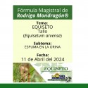 Fórmula del día 11 de Abril del 2024 EQUISETO / ESPUMA EN LA ORINA