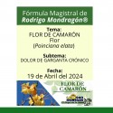 Fórmula del día 19 de Abril del 2024 FLOR DE CAMARÓN / DOLOR DE GARGANTA CRÓNICO