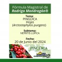 Fórmula del día 20 de Junio del 2024 PINGÜICA/NEFRITIS LÚPICA