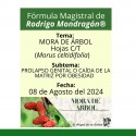 Fórmula del día 08 de Agosto del 2024 MORA DE ÁRBOL/PROLAPSO GENITAL O CAÍDA DE LA MATRIZ POR OBESIDAD