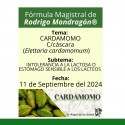 Fórmula del día 11 de Septiembre del 2024 CARDAMOMO/INTOLERANCIA A LA LACTOSA O ESTÓMAGO SENSIBLE A LOS LÁCTEOS