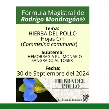 Fórmula del día 30 de Septiembre del 2024 HIERBA DEL POLLO/HEMORRAGIA PULMONAR O SANGRADO AL TOSER