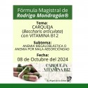 Fórmula del día 08 de Octubre del 2024 CARQUEJA con VITAMINA B12/ANEMIA MEGALOBLÁSTICA O ANEMIA POR MALA ABSORCIÓN