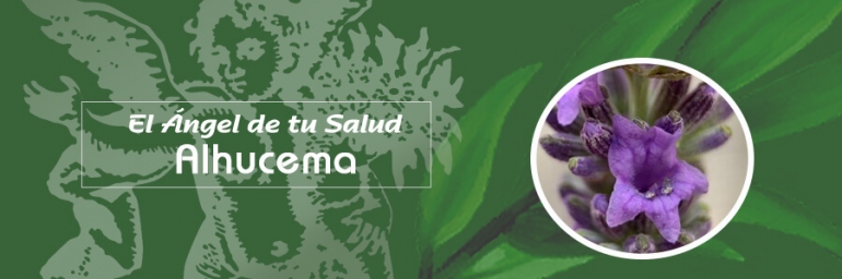 Alhucema o Lavanda ¿Con qué nombre la conoces?