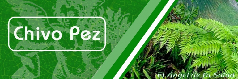 ¿No tienes sentido del gusto? Las propiedades del Chivo Pez te ayudarán a recobrarlo. TEMA DEL 26 DE OCTUBRE DEL 2022