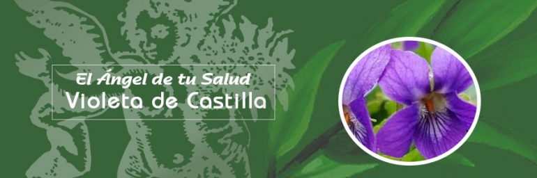 Beneficios de la Violeta de Castilla